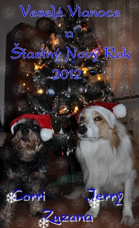 x-vianocepozdrav2011.jpg